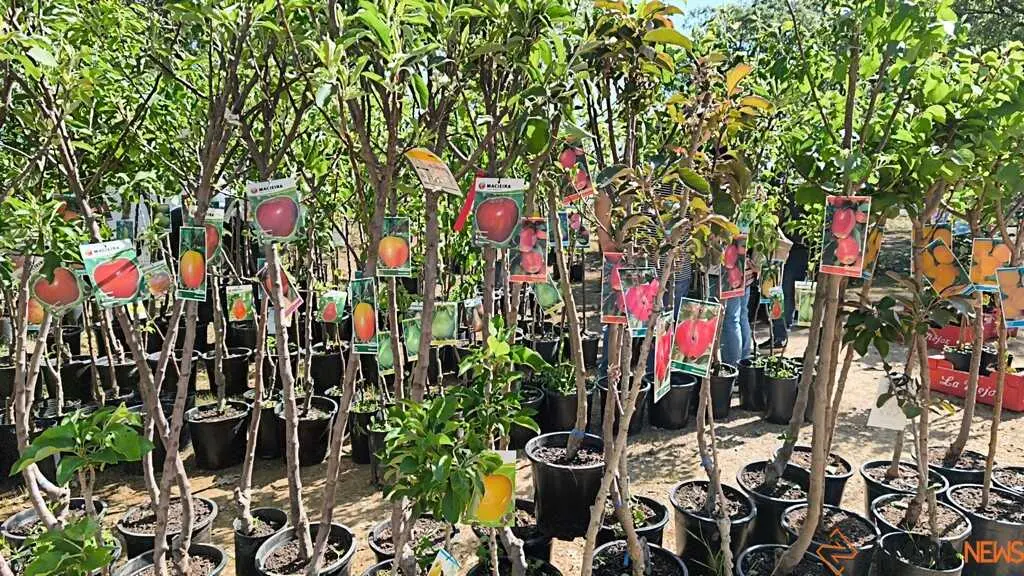 Romer&iacute;a de la Luz Moveros 