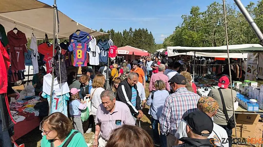 Romer&iacute;a de la Luz Moveros _10