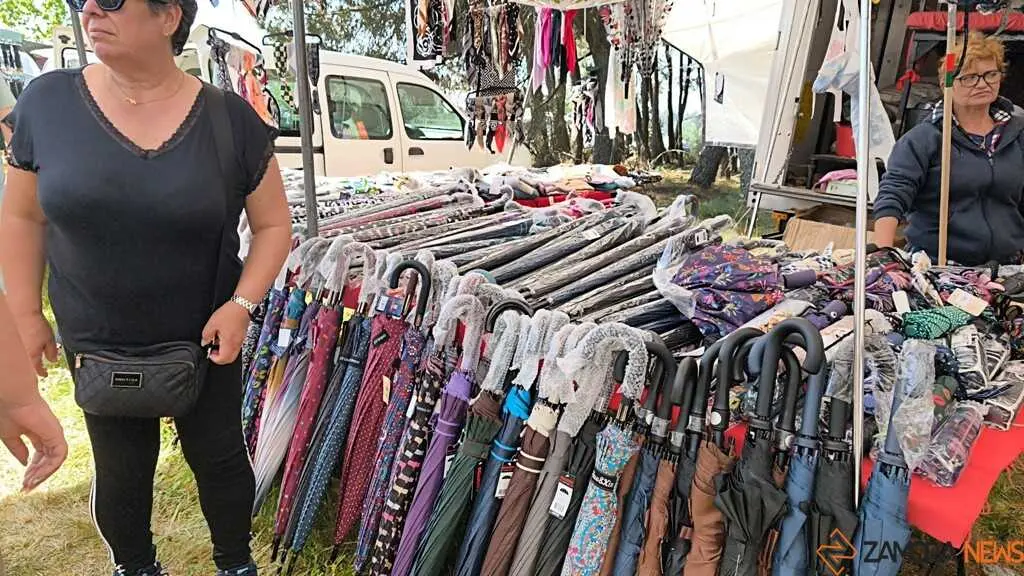 Romer&iacute;a de la Luz Moveros _17