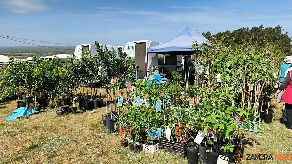 Romer&iacute;a de la Luz Moveros _22