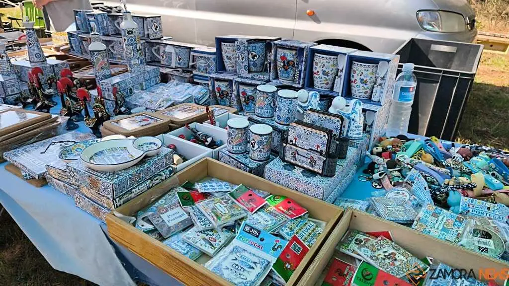 Romer&iacute;a de la Luz Moveros _27