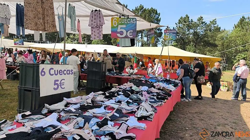 Romer&iacute;a de la Luz Moveros _31