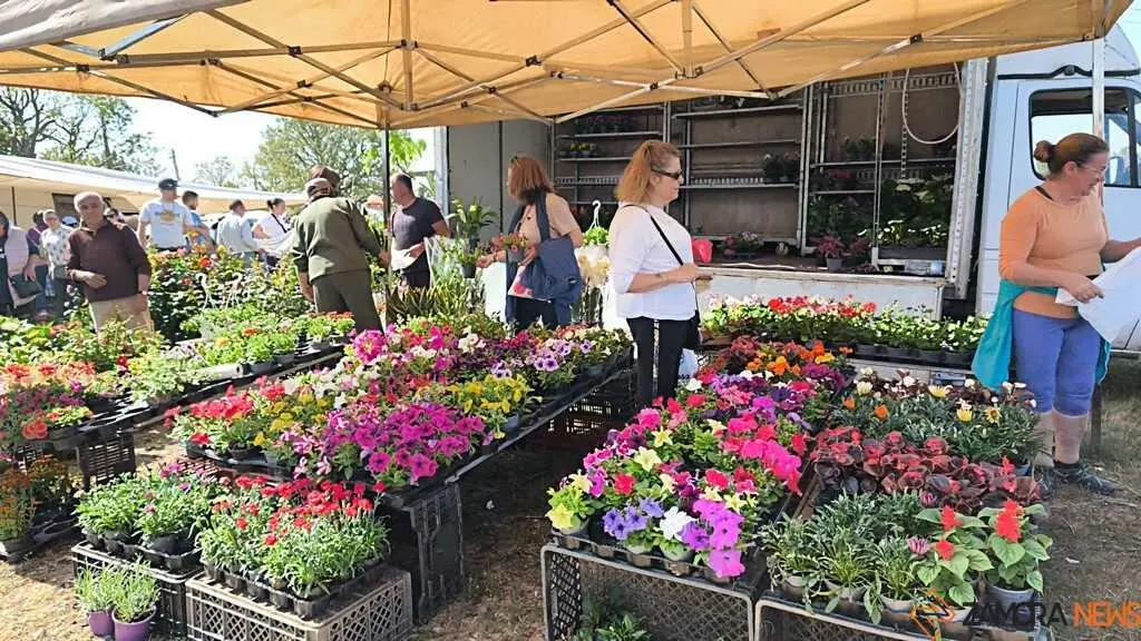 Romer&iacute;a de la Luz Moveros _32