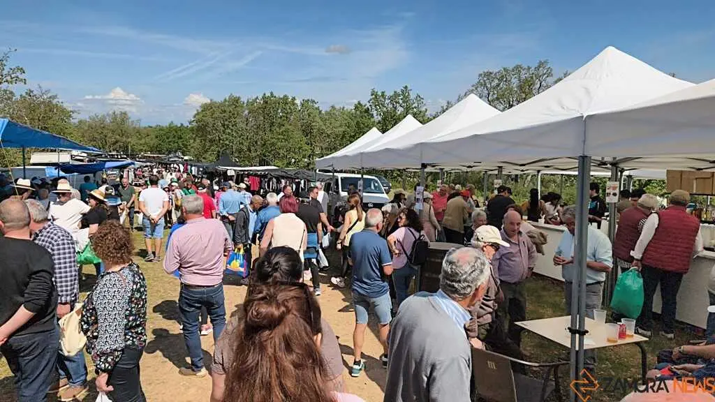 Romer&iacute;a de la Luz Moveros _35