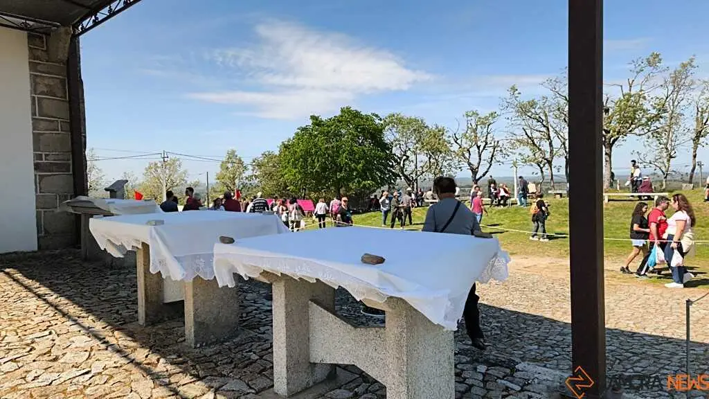 Romer&iacute;a de la Luz Moveros _36