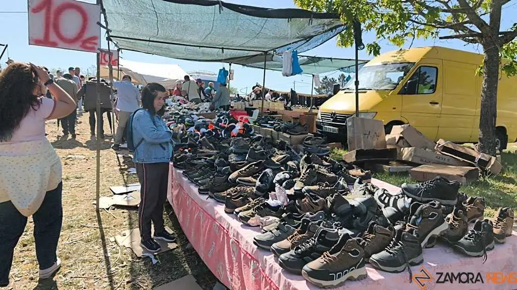 Romer&iacute;a de la Luz Moveros _38