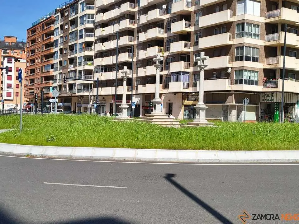 maleza Cardenal Cisneros _2