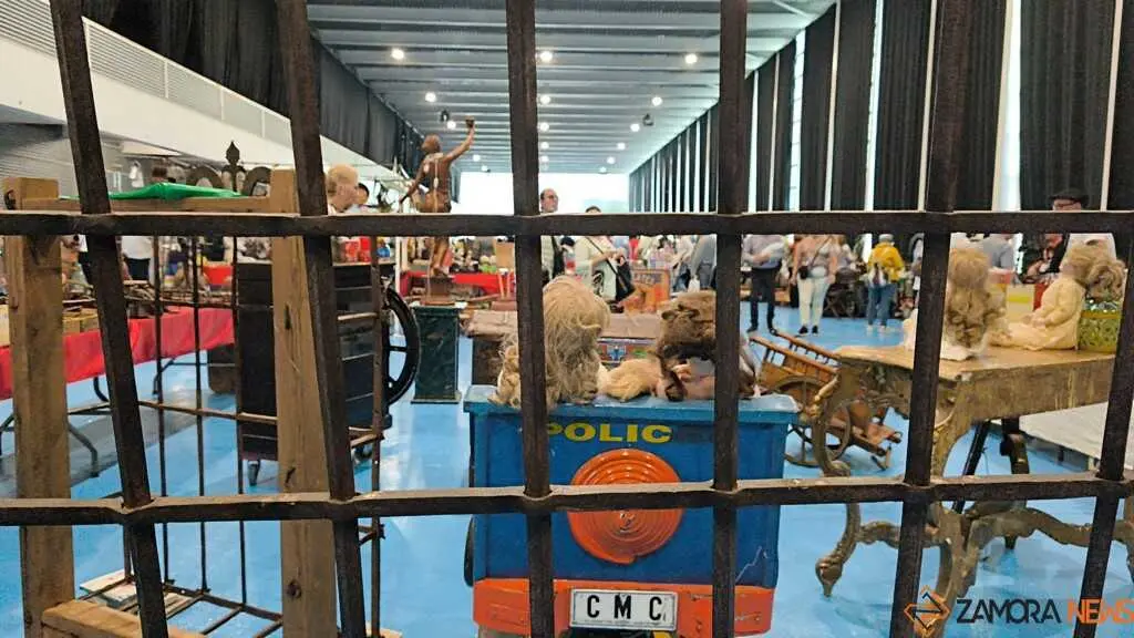 I Feria de Antig&uuml;edades y Coleccionismo Vintage _11