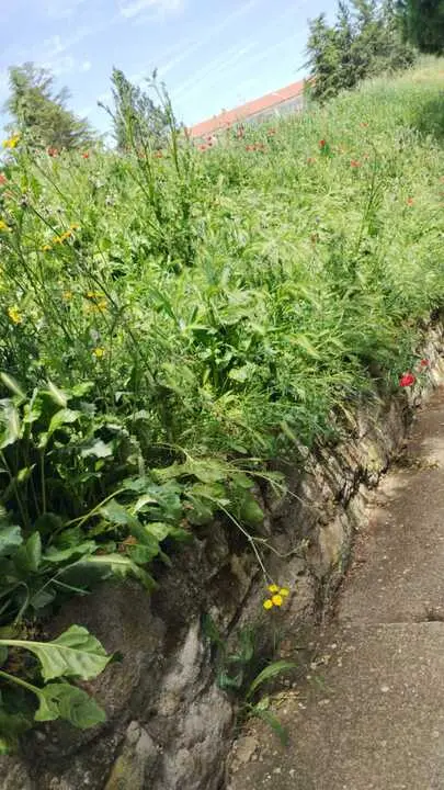 Parque Consejo de Europa