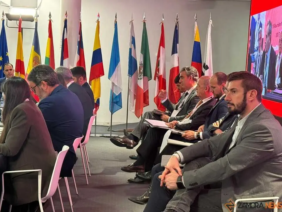  reuniones ministeriales iberoamericanas centradas en infancia y juventud Zamora _13