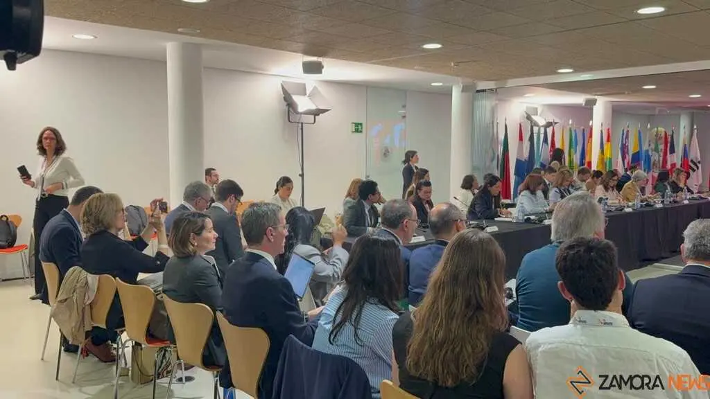  reuniones ministeriales iberoamericanas centradas en infancia y juventud Zamora _15