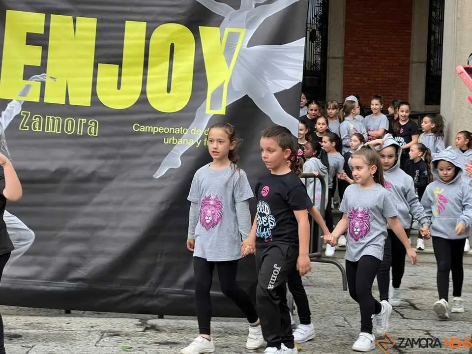 Sals&oacute;n Dance D&iacute;a de la Danza Plaza Mayor de Zamora 