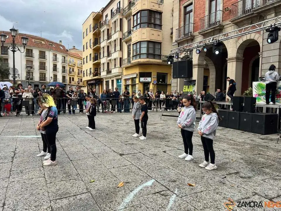Sals&oacute;n Dance D&iacute;a de la Danza Plaza Mayor de Zamora _4