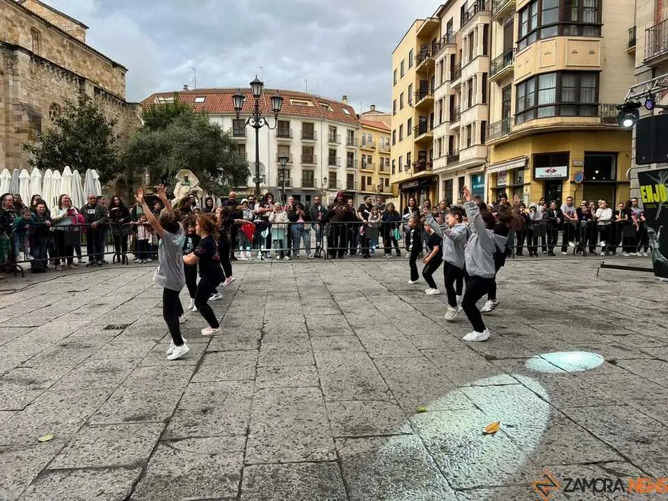 Sals&oacute;n Dance D&iacute;a de la Danza Plaza Mayor de Zamora _10