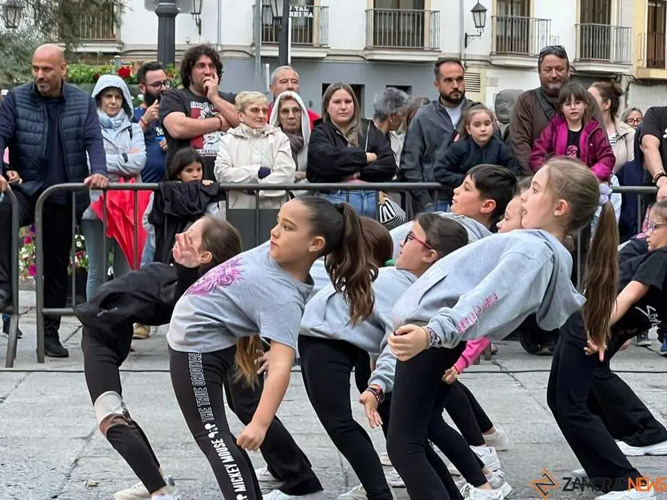 Sals&oacute;n Dance D&iacute;a de la Danza Plaza Mayor de Zamora _22
