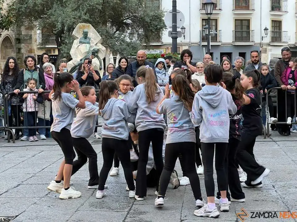 Sals&oacute;n Dance D&iacute;a de la Danza Plaza Mayor de Zamora _24