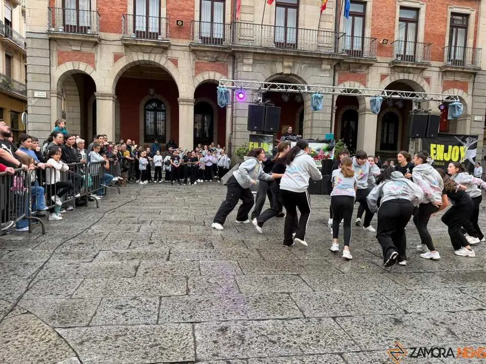 Sals&oacute;n Dance D&iacute;a de la Danza Plaza Mayor de Zamora _33