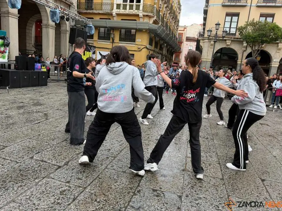 Sals&oacute;n Dance D&iacute;a de la Danza Plaza Mayor de Zamora _34