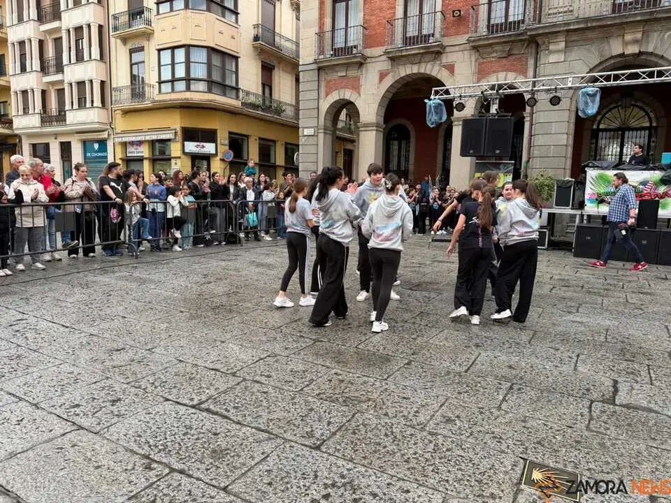 Sals&oacute;n Dance D&iacute;a de la Danza Plaza Mayor de Zamora _35
