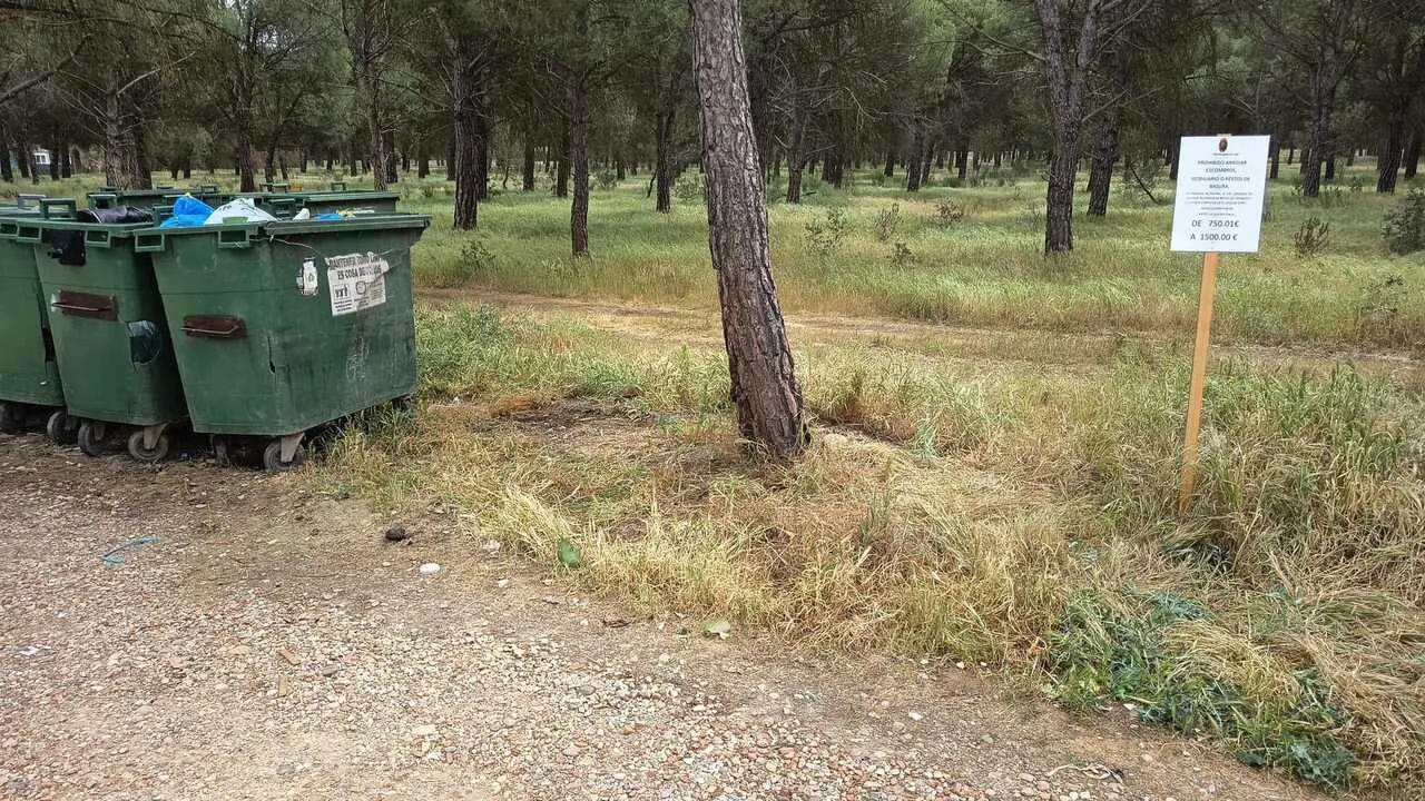 Limpieza vertedero ilegal de Toro en la zona de El Grejo