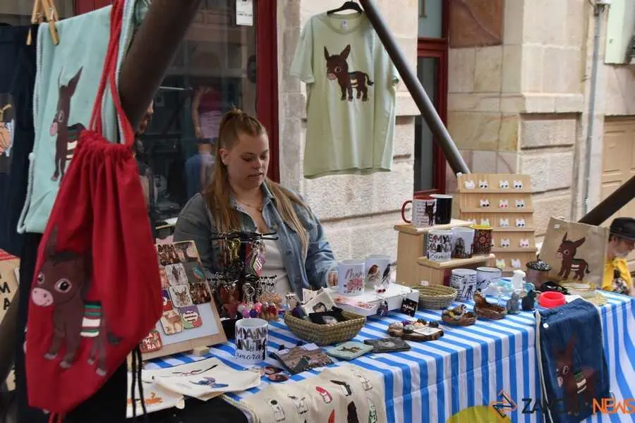 mercado de Balborraz _6