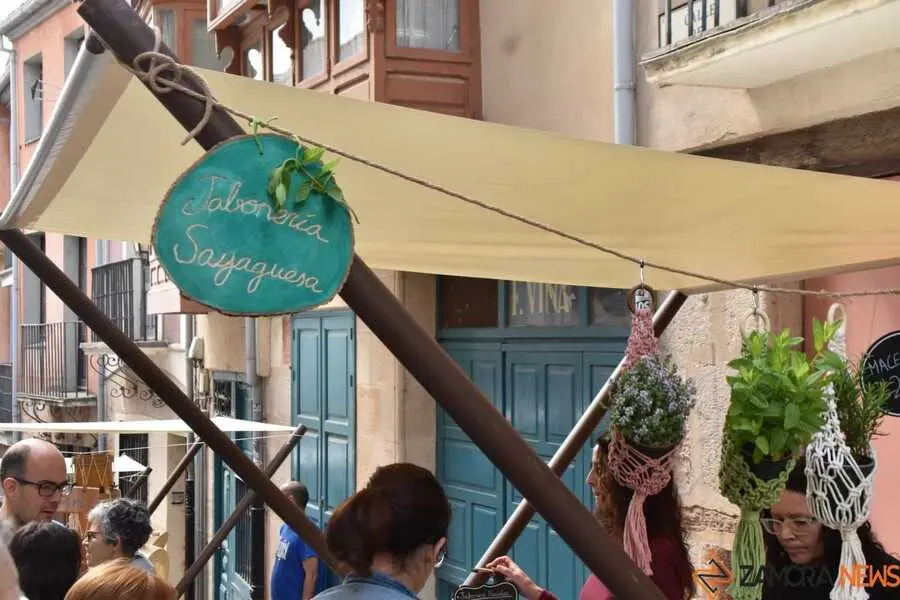 mercado de Balborraz _10