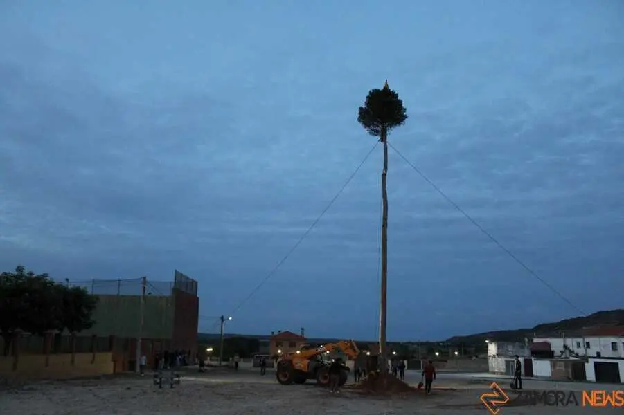 El mayo en Villalaz&aacute;n _2