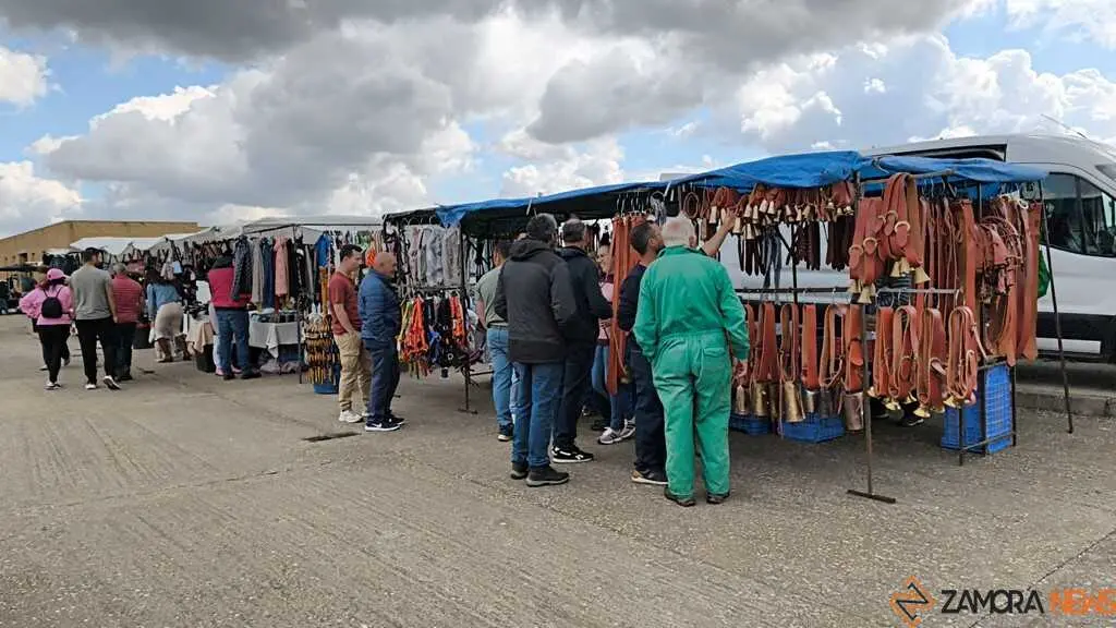 feria de San Miguel en Carbajales de Alba _5