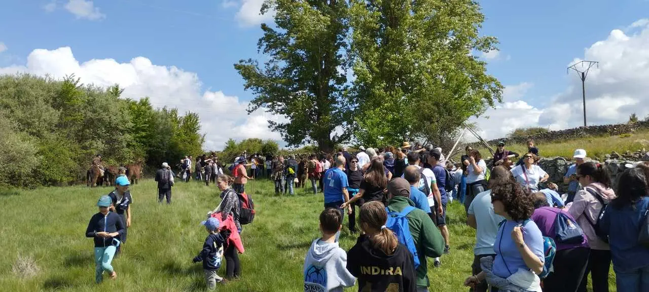 Villalcampo  (1)
