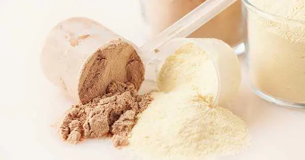 proteina polvo