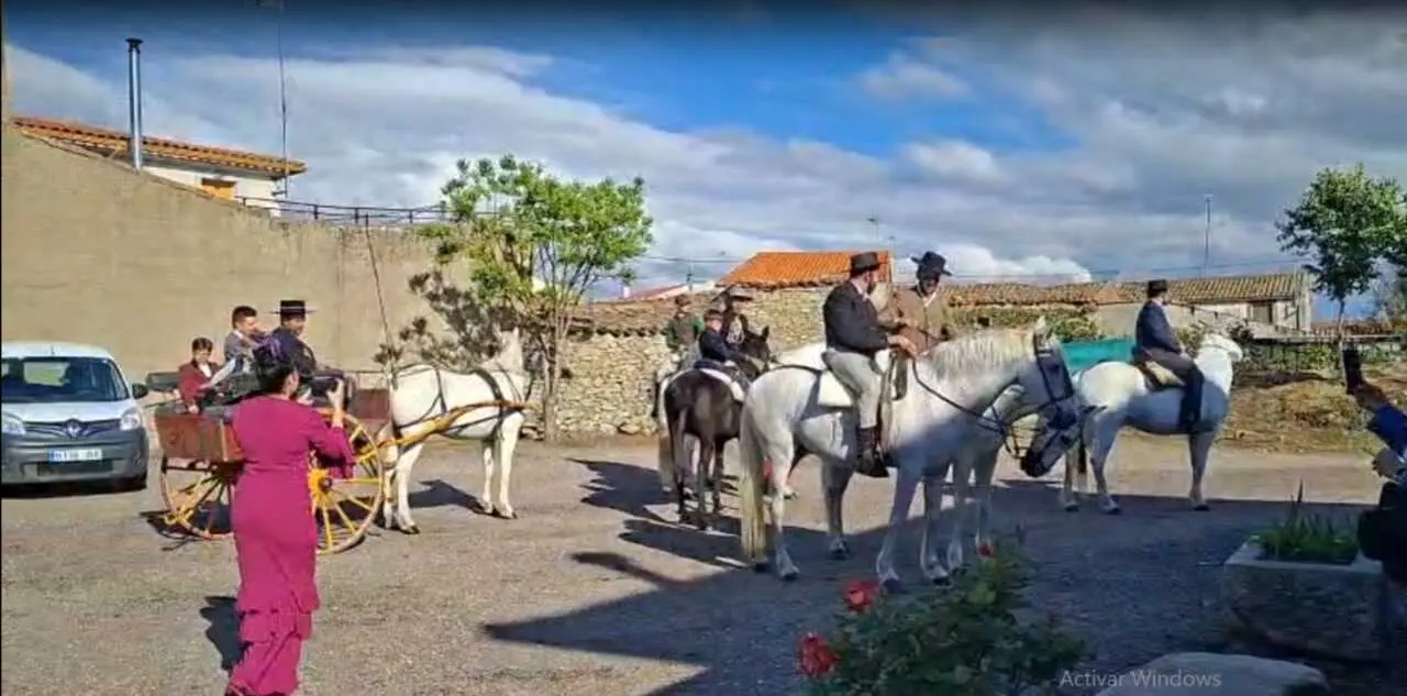 camino flamenco