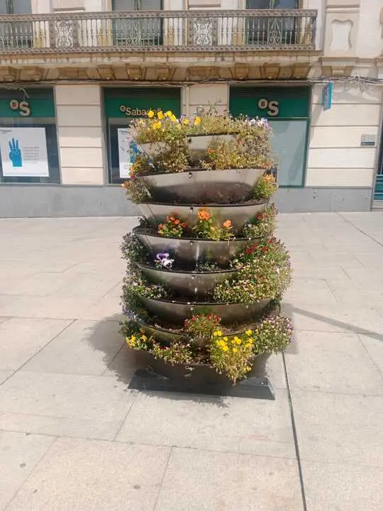 Jardineras Zamora flores arrancadas