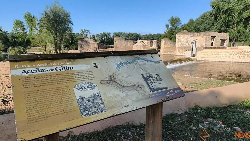 Ace&ntilde;as de Gij&oacute;n_15