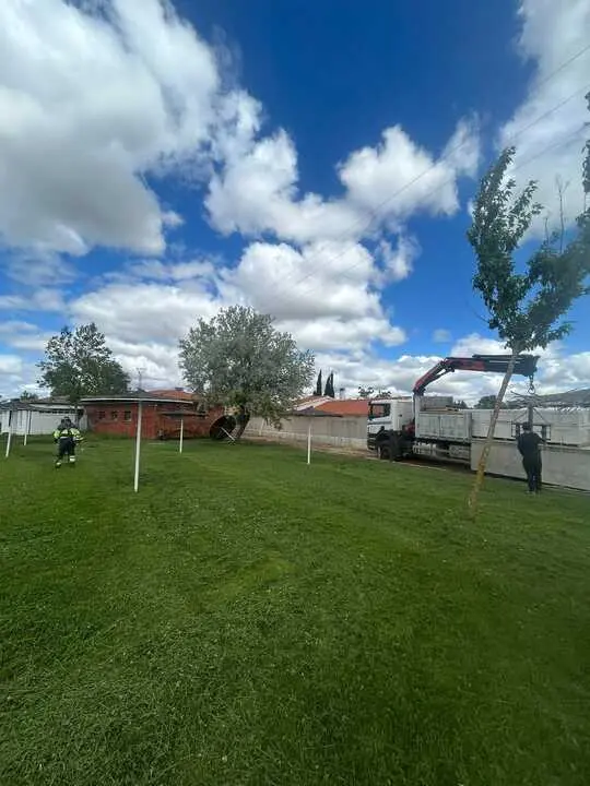 Obras nuevo gimnasio Moraleja del Vino