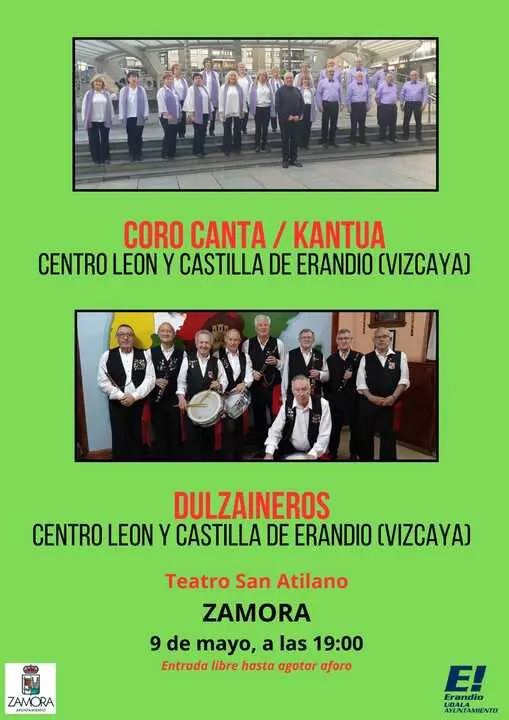 Cartel del concierto