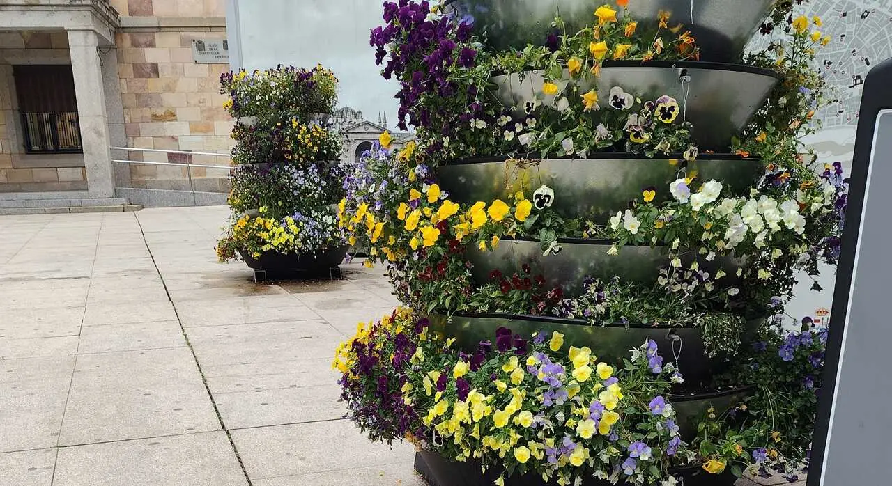 Jardineras en la plaza de la Constituci&oacute;n de Zamora