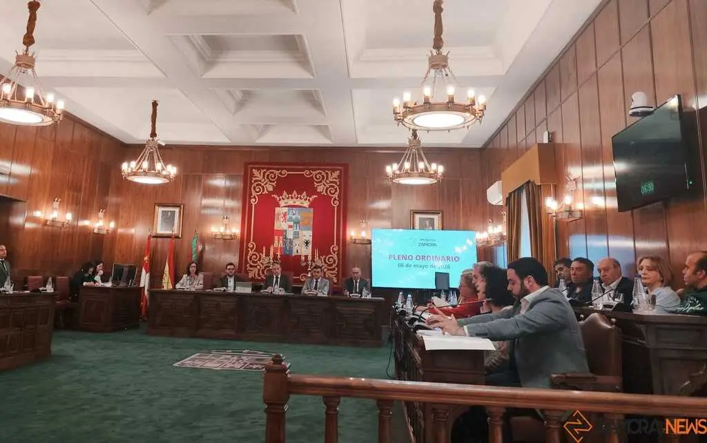 Pleno Diputaci&oacute;n 