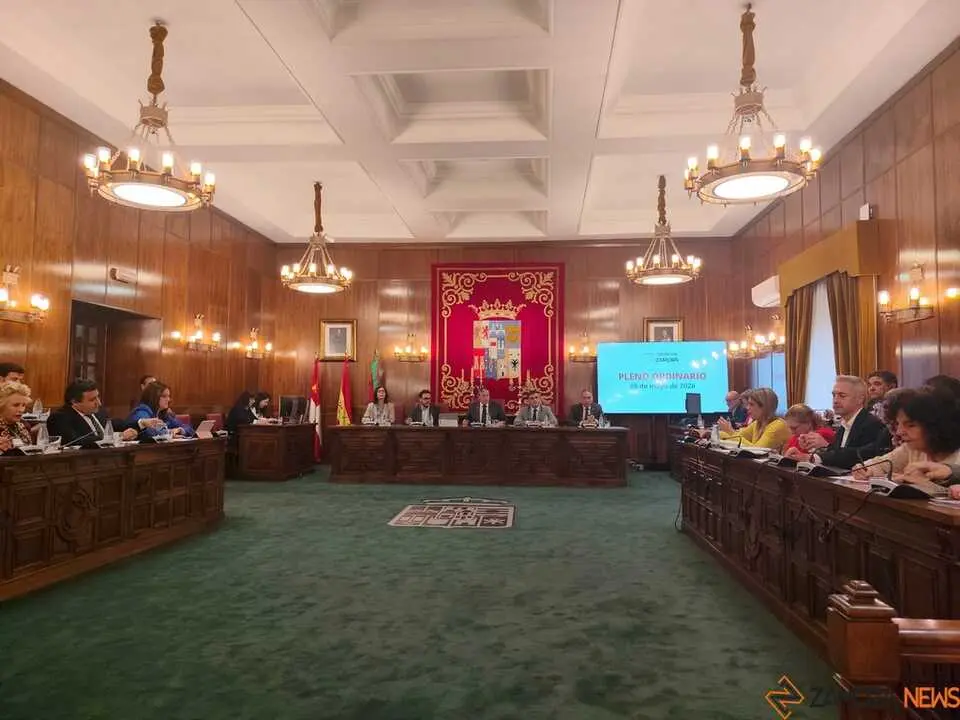 Pleno Diputaci&oacute;n _2