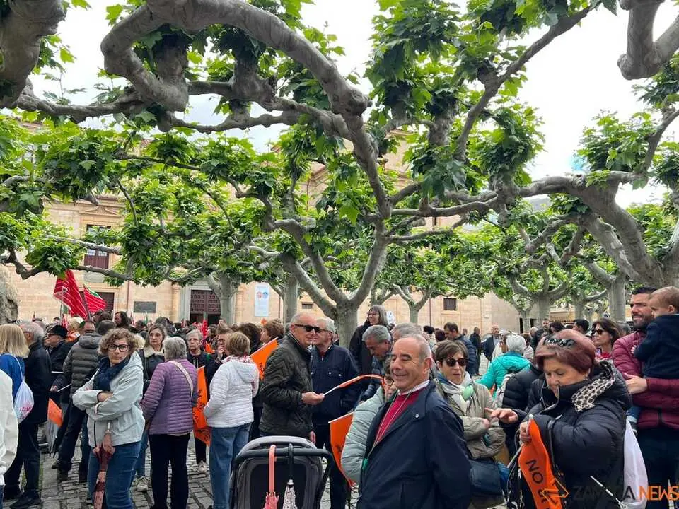 Manifestaci&oacute;n contra las plantas de biog&aacute;s Zamora _11