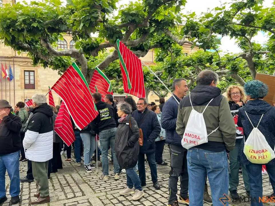 Manifestaci&oacute;n contra las plantas de biog&aacute;s Zamora _13