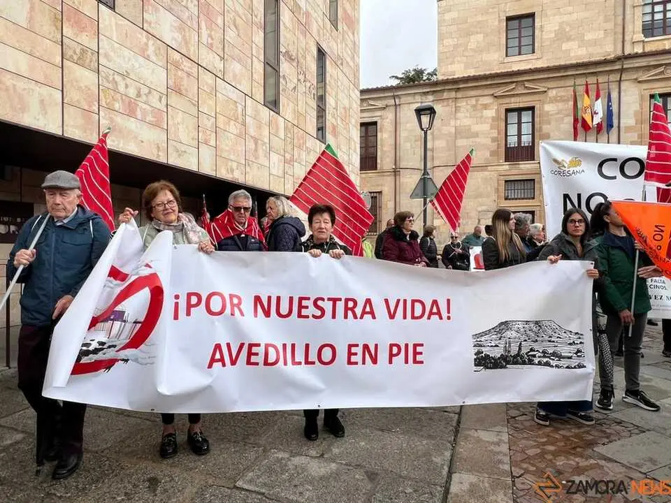Manifestaci&oacute;n contra las plantas de biog&aacute;s Zamora _16