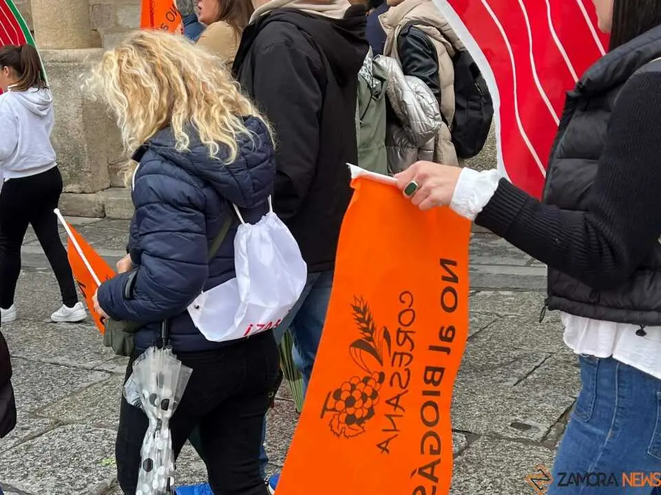 Manifestaci&oacute;n contra las plantas de biog&aacute;s Zamora _32