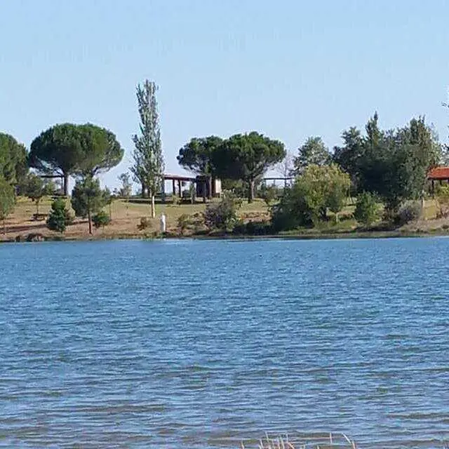 Chiriguito Ayo&oacute; de Vidriales