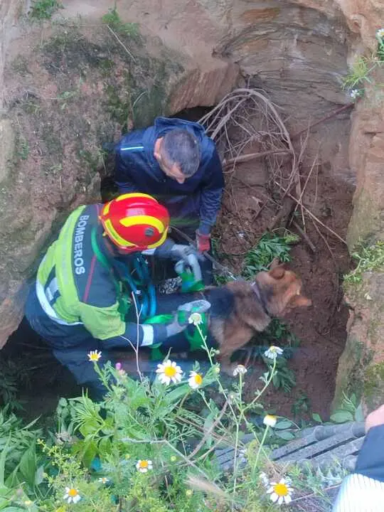Rescate de un perro en Moraleja del Vino