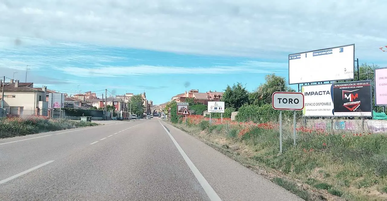 Toro15