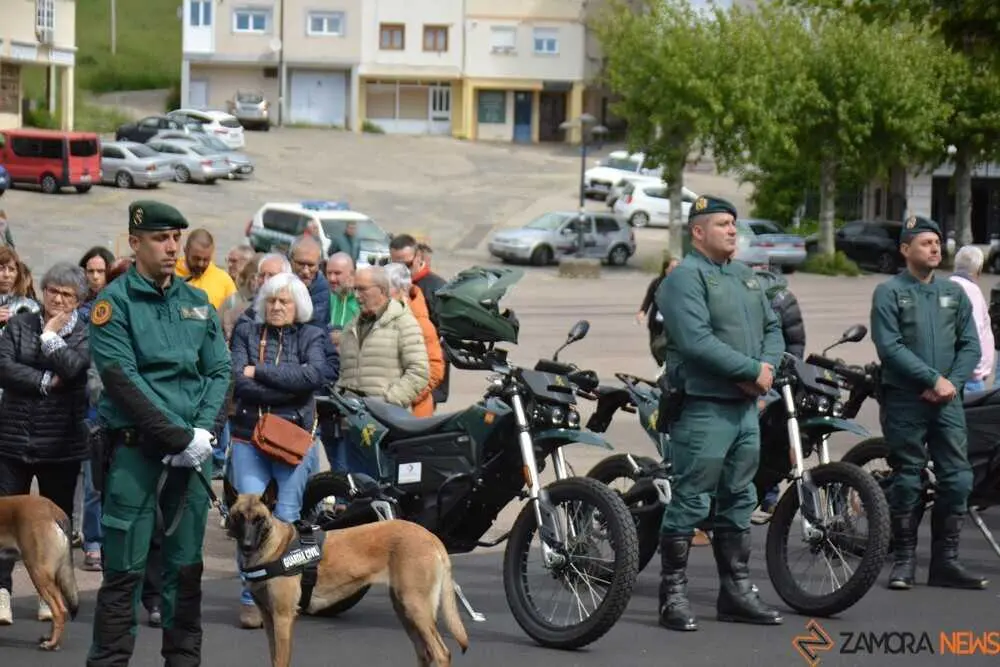 GUARDIA CIVIL SANABRIA DESFILE_99