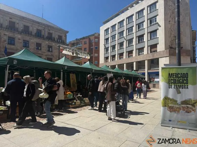 mercado ecol&oacute;gico 