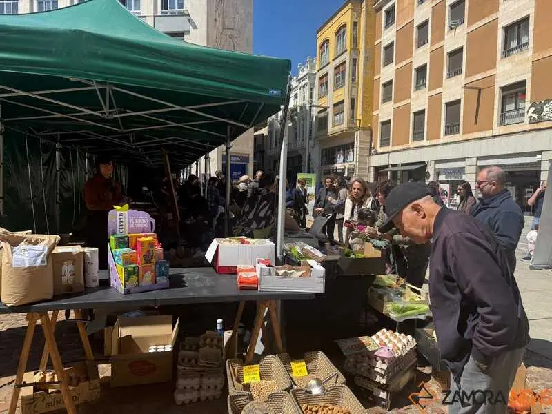 mercado ecol&oacute;gico _3