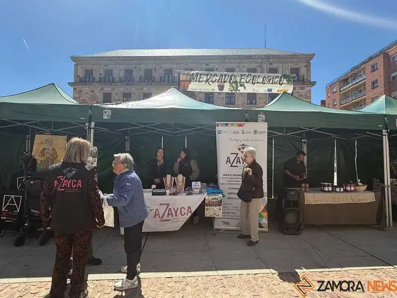 mercado ecol&oacute;gico _7