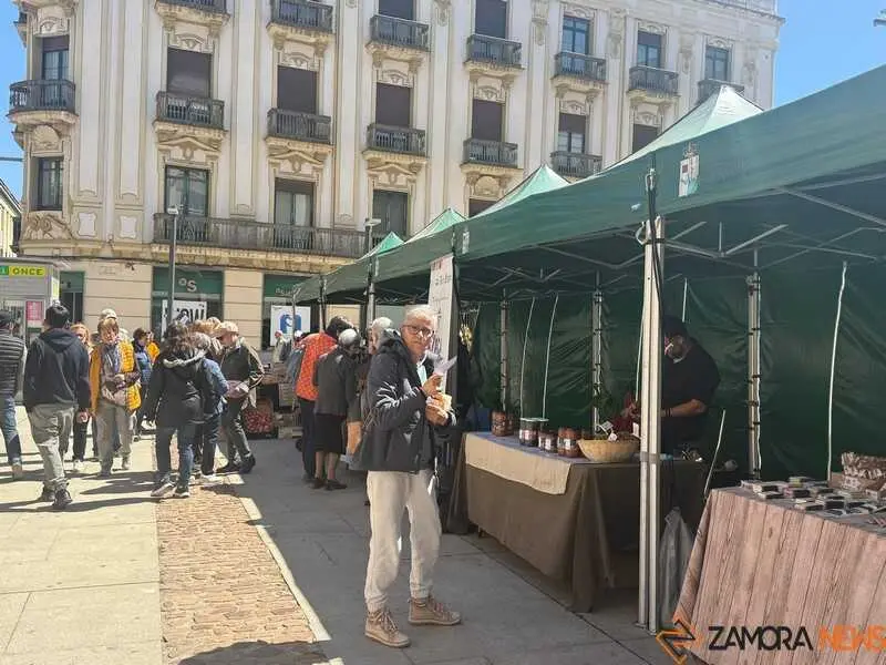 mercado ecol&oacute;gico _12